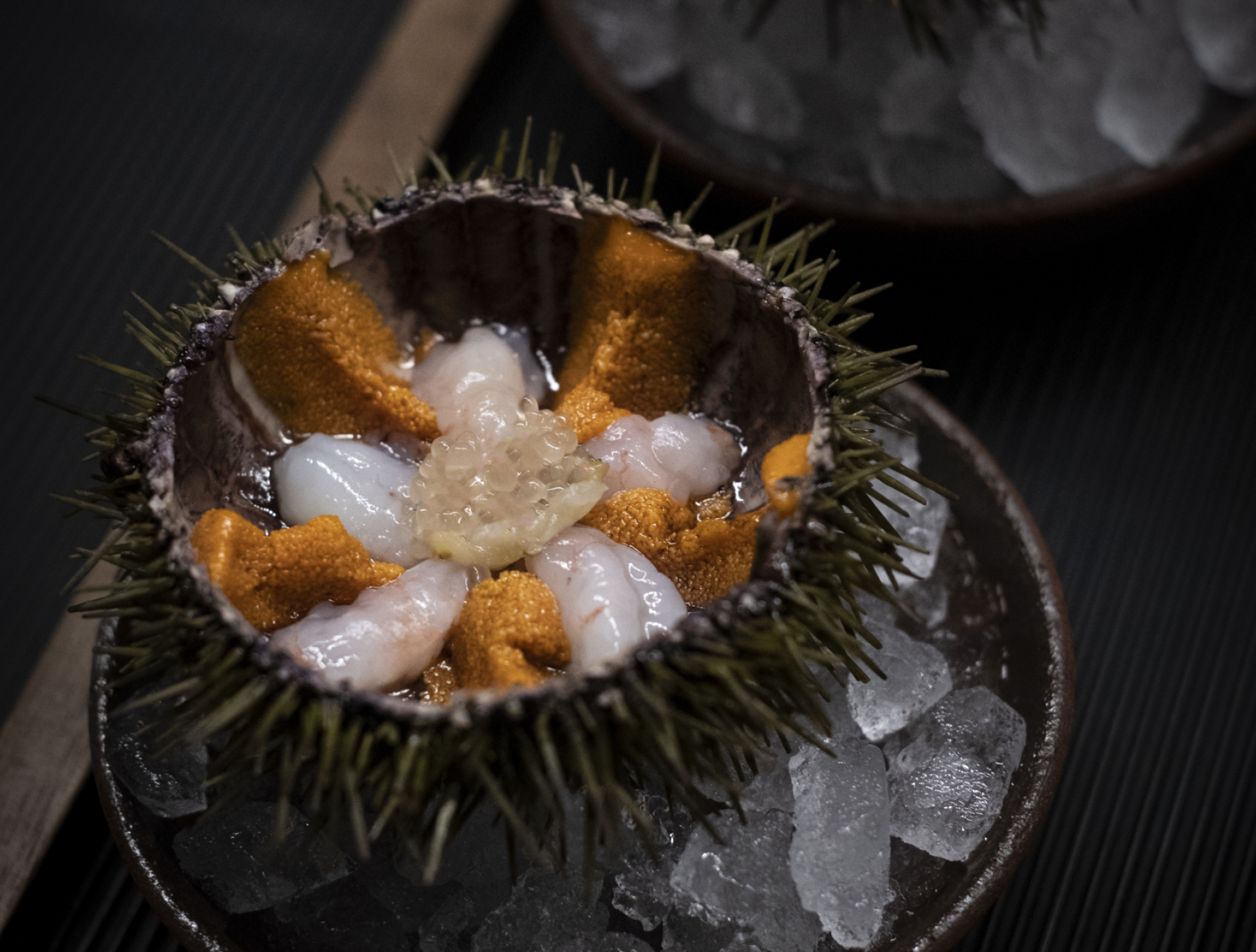 Rectangle 137 (3).png